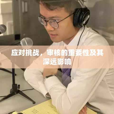 应对挑战,审核的重要性及其深远影响