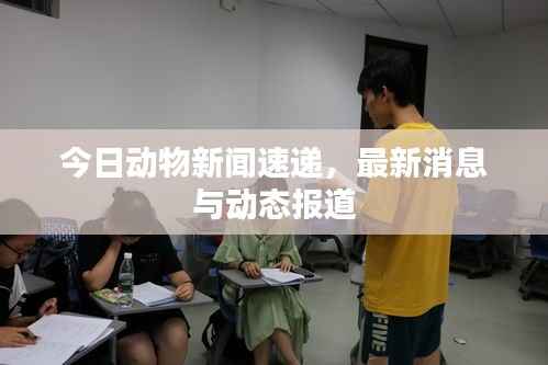 今日动物新闻速递,最新消息与动态报道