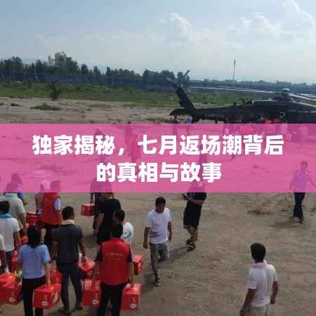 独家揭秘,七月返场潮背后的真相与故事