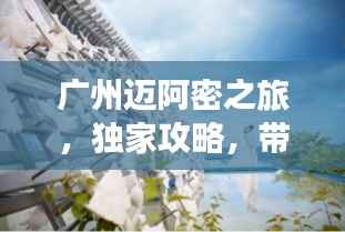 广州迈阿密之旅,独家攻略,带你畅游魅力之都!