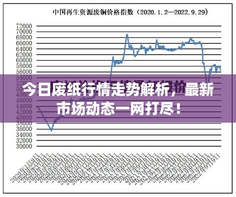 今日废纸行情走势解析,最新市场动态一网打尽!
