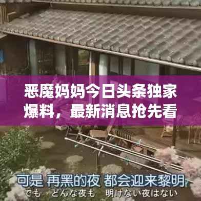 飞来飞去 第2页