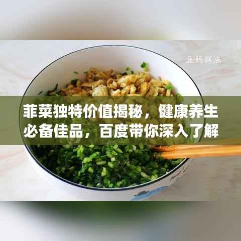菲菜独特价值揭秘,健康养生必备佳品,百度带你深入了解!