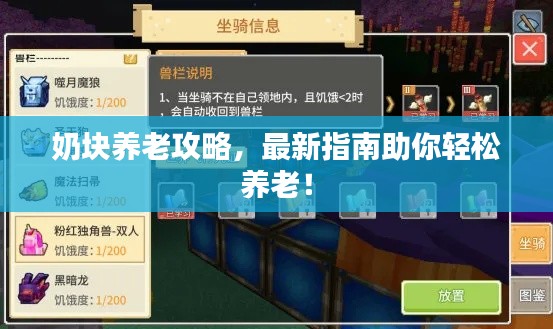 奶块养老攻略,最新指南助你轻松养老!