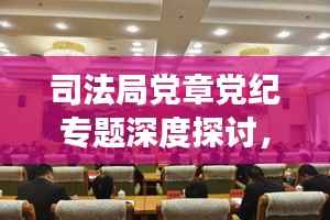 司法局党章党纪专题深度探讨,加强纪律建设,推动全面从严治党新实践