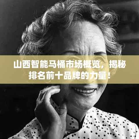山西智能马桶市场概览,揭秘排名前十品牌的力量!