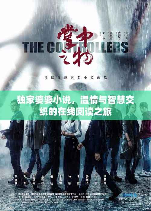 独家婆婆小说，温情与智慧交织的在线阅读之旅