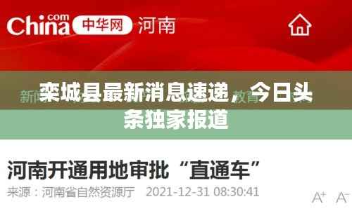 栾城县最新消息速递,今日头条独家报道