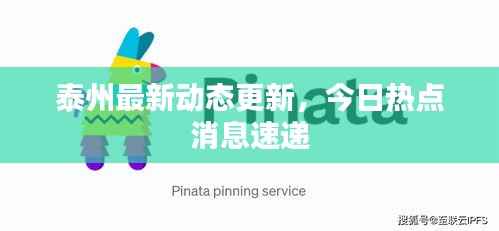 泰州最新动态更新,今日热点消息速递