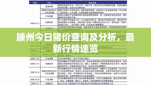 滕州今日猪价查询及分析,最新行情速览