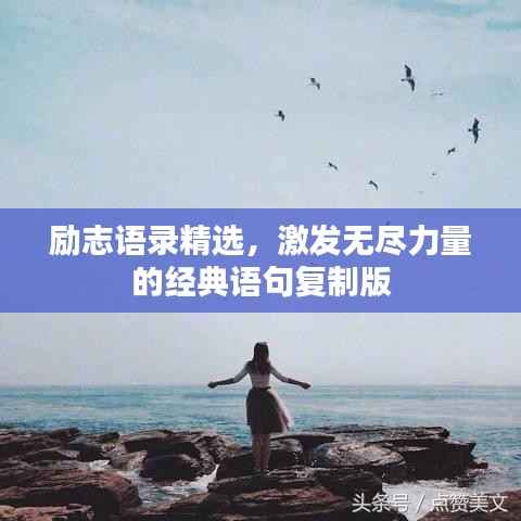 励志语录精选，激发无尽力量的经典语句复制版