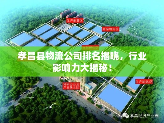 孝昌县物流公司排名揭晓,行业影响力大揭秘!