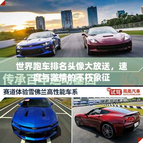 世界跑车排名头像大放送,速度与激情的不朽象征