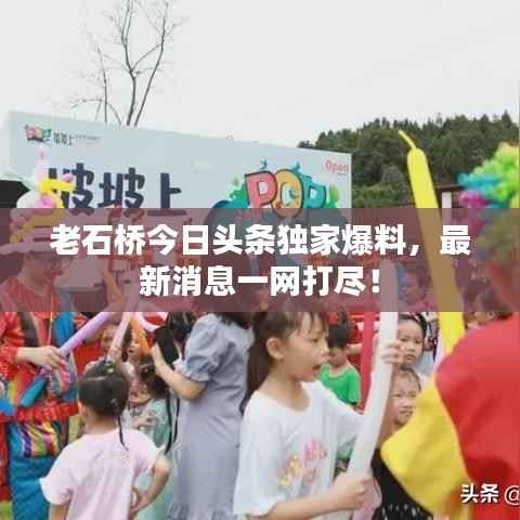 百不得一 第3页