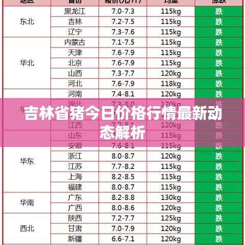 吉林省猪今日价格行情最新动态解析