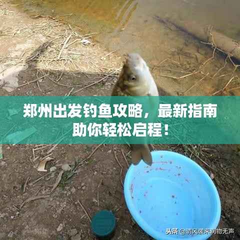 郑州出发钓鱼攻略,最新指南助你轻松启程!
