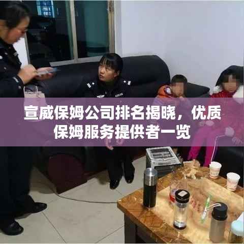 宣威保姆公司排名揭晓,优质保姆服务提供者一览