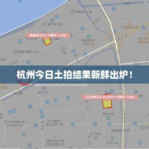 杭州今日土拍结果新鲜出炉！