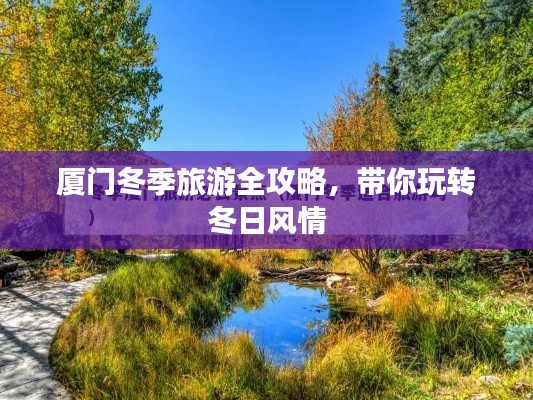 厦门冬季旅游全攻略,带你玩转冬日风情