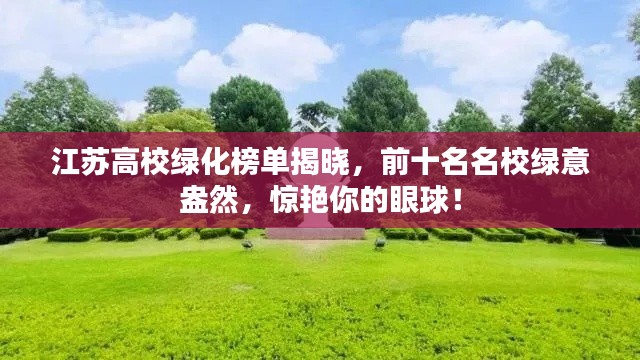 江苏高校绿化榜单揭晓,前十名名校绿意盎然,惊艳你的眼球!