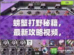 螃蟹打野秘籍,最新攻略视频,技巧与策略一网打尽!