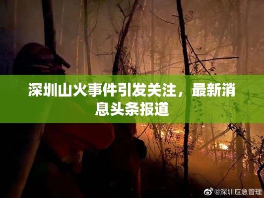 深圳山火事件引发关注,最新消息头条报道