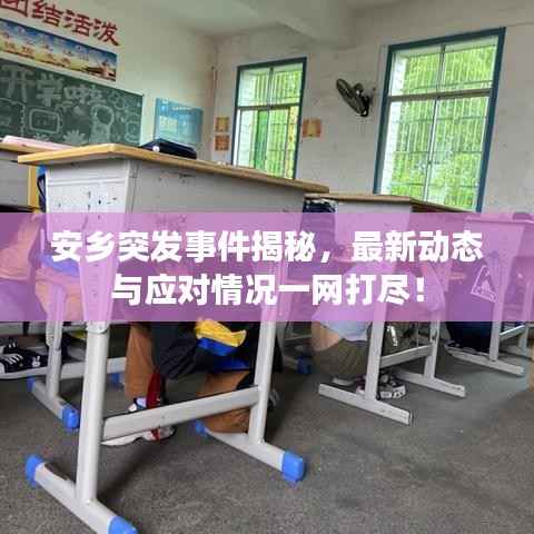 安乡突发事件揭秘,最新动态与应对情况一网打尽!