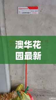 澳华花园最新动态揭秘,今日更新消息抢先看!