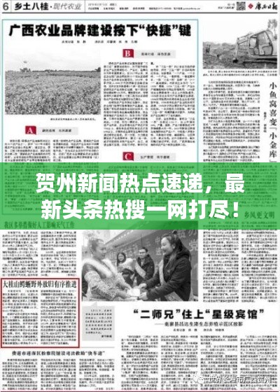 贺州新闻热点速递,最新头条热搜一网打尽!