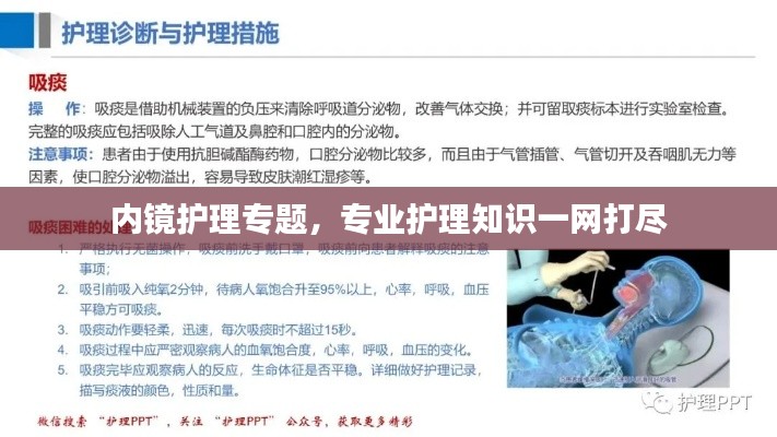 鸟面鹄形 第2页