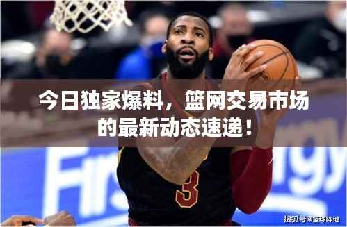 今日独家爆料,篮网交易市场的最新动态速递!
