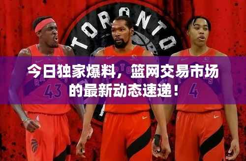 今日独家爆料,篮网交易市场的最新动态速递!