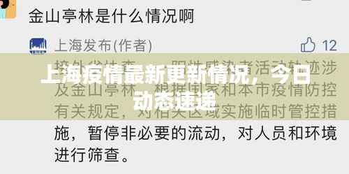 上海疫情最新更新情况,今日动态速递