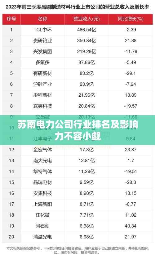 苏南电力公司行业排名及影响力不容小觑