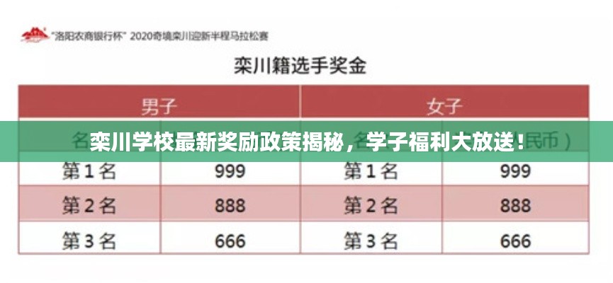 栾川学校最新奖励政策揭秘,学子福利大放送!