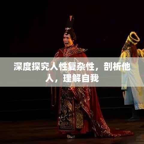 深度探究人性复杂性,剖析他人,理解自我