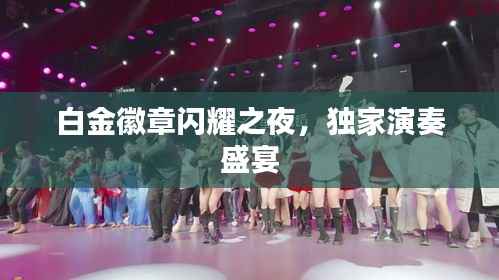 白金徽章闪耀之夜,独家演奏盛宴