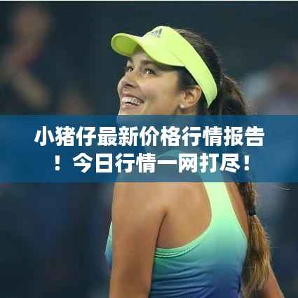 小猪仔最新价格行情报告!今日行情一网打尽!