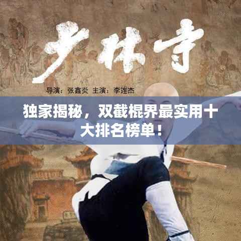 独家揭秘,双截棍界最实用十大排名榜单!