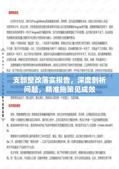 支部整改落实报告,深度剖析问题,精准施策见成效