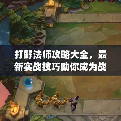 打野法师攻略大全，最新实战技巧助你成为战场主宰！