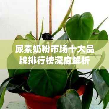 尿素奶粉市场十大品牌排行榜深度解析