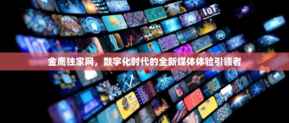 金鹰独家网，数字化时代的全新媒体体验引领者