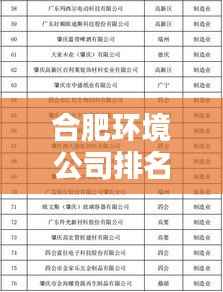 合肥环境公司排名揭晓,优质企业榜单,值得信赖的专业服务!