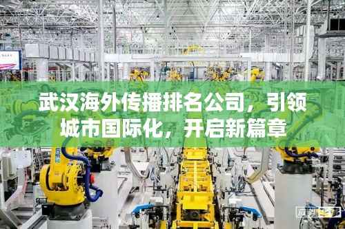 武汉海外传播排名公司,引领城市国际化,开启新篇章
