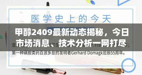 甲醇2409最新动态揭秘,今日市场消息、技术分析一网打尽