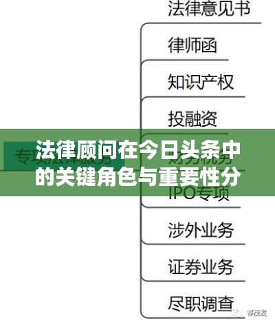法律顾问在今日头条中的关键角色与重要性分析