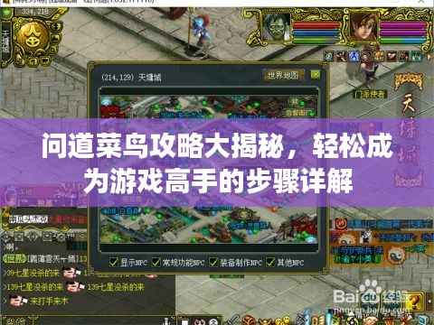 问道菜鸟攻略大揭秘,轻松成为游戏高手的步骤详解