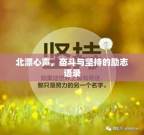 北漂心声,奋斗与坚持的励志语录