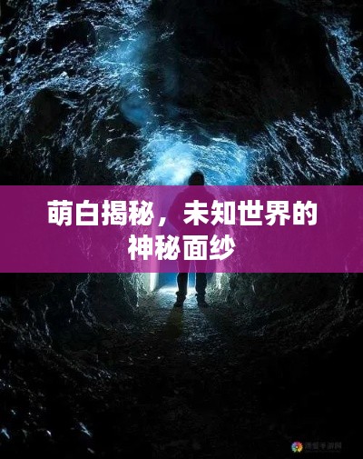 萌白揭秘,未知世界的神秘面纱